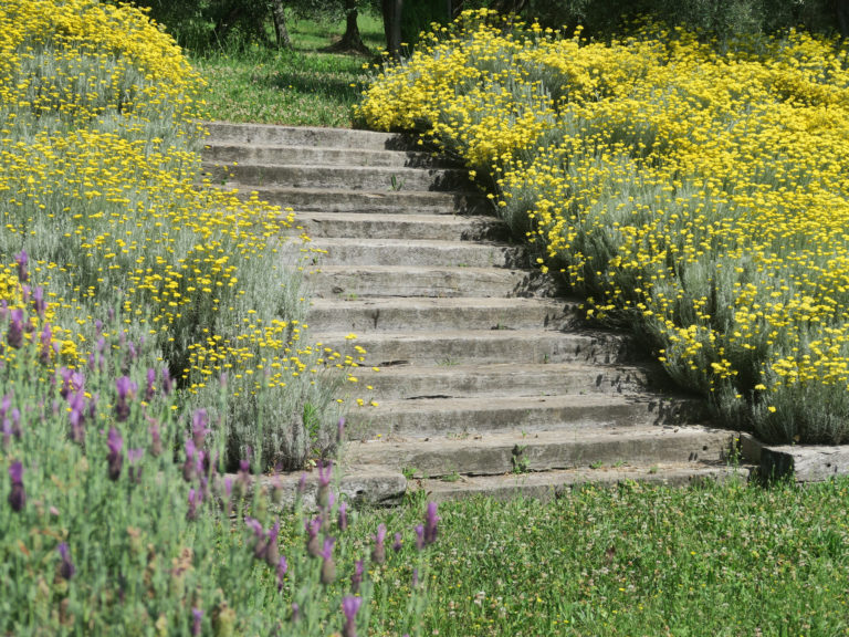 Giardino Covignano 2019