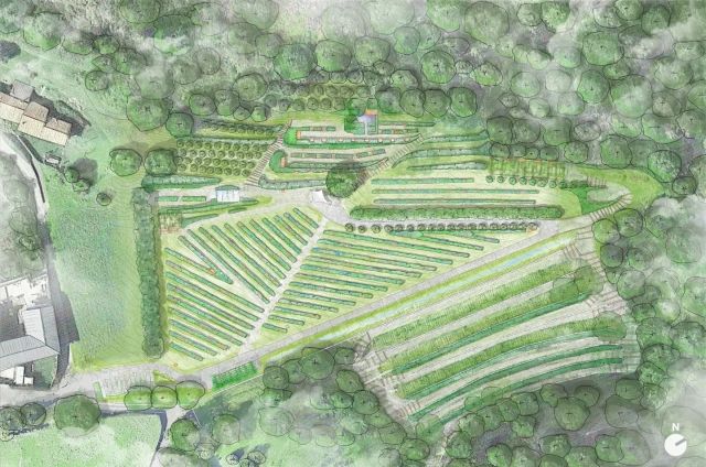 Masterplan per la Valle della Biodiversità di Astino (BG): Bioparco apistico
Astino Biodiversity Valley’s Masterplan (BG): Bees biopark

Il Masterplan prevede, tra le varie azioni, il recupero di un'area agricola terrazzata abbandonata  per la creazione di un Bioparco Apistico, percorso didattico sul tema del rapporto uomo/ape e sull'importanza degli insetti impollinatori sia selvatici che allevati. Attraverso la rimodulazione delle scarpate esistenti sarà possibile l’inserimento di vegetazione a bassa manutenzione caratterizzata da fioriture attrattive per gli insetti impollinatori, di praterie naturalistiche, di bee hotels, di coltivazioni agricole attrattive per l’entomofauna selvatica, di un percorso narrativo sull’evoluzione del rapporto uomo e ape mellifera attraverso la storia, di una camera per l’osservazione della vita delle api all’interno delle arnie.

The Masterplan includes, among other actions, the recovery of a terraced space for the creation of an Apistic Biopark, a didactic path on the theme of the man/ bee relationship and on the importance of pollinating insects both wild and bred.

www.pampastudio.eu

#progettopampastudio #pampastudio #progettoambientepaesaggio #progettoparco #gardendesign #plantdesign #landscapedesigns #landscapearchitecture #salvaguardiaambientale #enviromentdesign #parcodidattico #learninnature #architetturadelpaesaggio #sharingspace #biodiversity #savewaterproject #areenaturaliprotette #landscapeinspiration #landscapemodelling #outdoorlife #outdoorwellness #openairlife #playinthenature #api #bees #insettiutili #tuteladellambiente #alveari #beehives #percorsodidattico